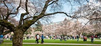 What is a University? | Top Universities